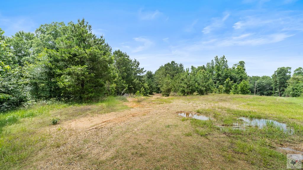 Land in Texarkana 5