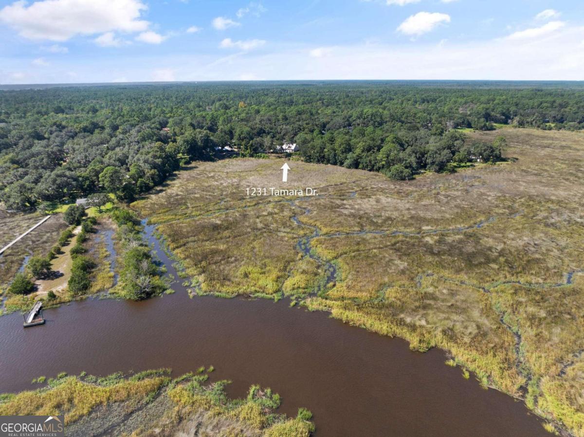 Tamara Dr, Darien, GA 31305