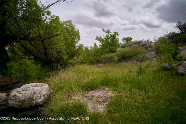 1232 Black River Village Rd, Home with 0 bedrooms, 0 bathrooms and null parking in Carlsbad NM | Image 36
