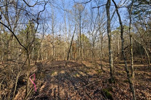 316 Marked Pine Ln, Broken Bow, OK, 74728 | Card Image