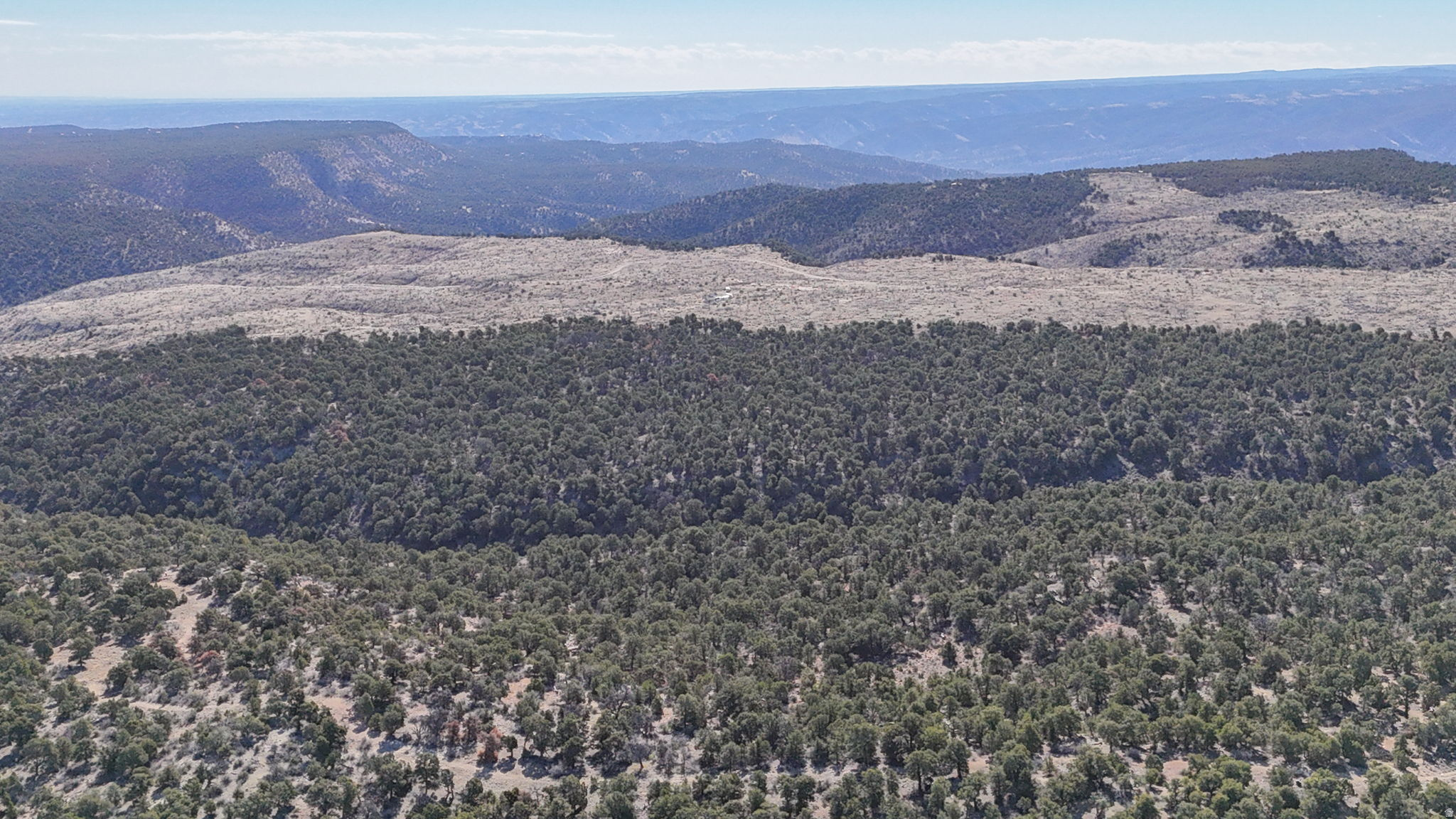 Land in Fruitland 5