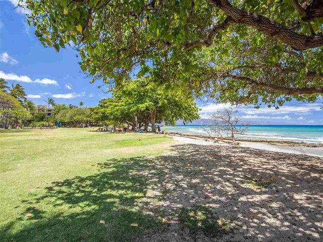 APT-110 - 3691 Lower Honoapiilani Rd, Condo with 1 bedrooms, 1 bathrooms and null parking in Lahaina HI | Image 5