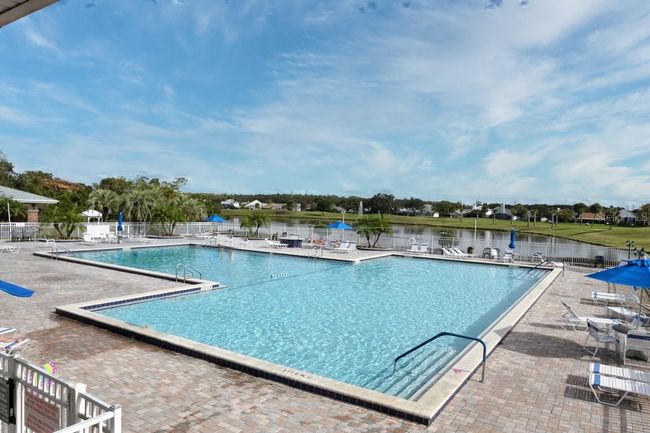 Olympic size pool | Image 40