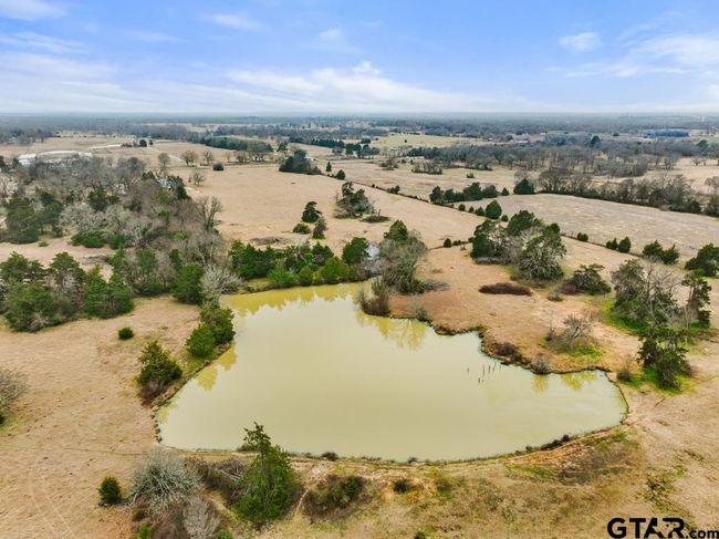 15037 State Highway 110, Home with 0 bedrooms, 0 bathrooms and null parking in Van TX | Image 20