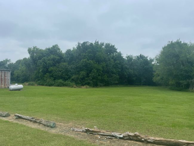 View of green lawn featuring a forest view | Image 5