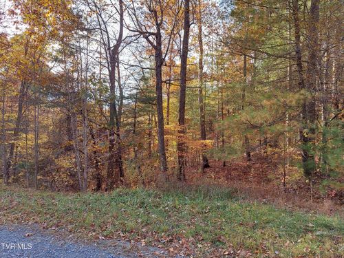 Lot 19 Sugar Maple Way, Del Rio, TN, 37727 | Card Image