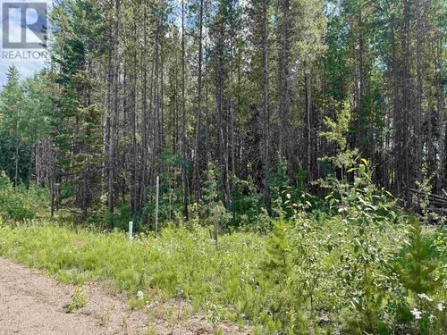 1075 18th Avenue, Valemount, BC, V0E2Z0 | Card Image