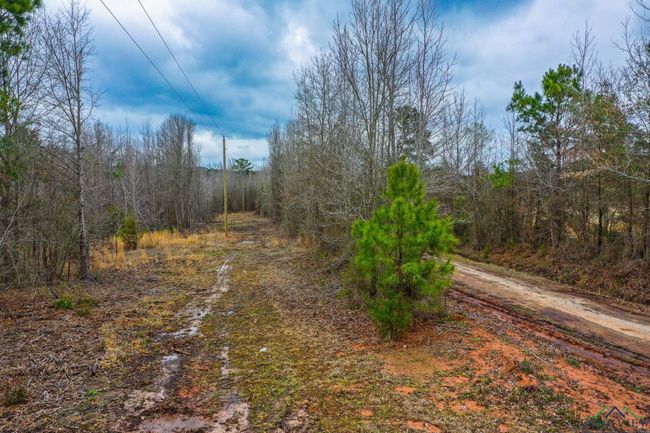 00 Mistletoe Rd, Home with 0 bedrooms, 0 bathrooms and null parking in Gilmer TX | Image 7