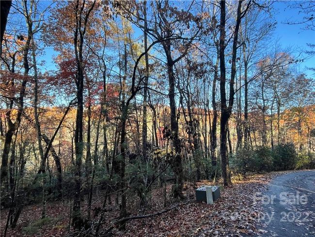 4 - 9999 Sassafras Ln, Home with 0 bedrooms, 0 bathrooms and null parking in Cedar Mountain NC | Image 24