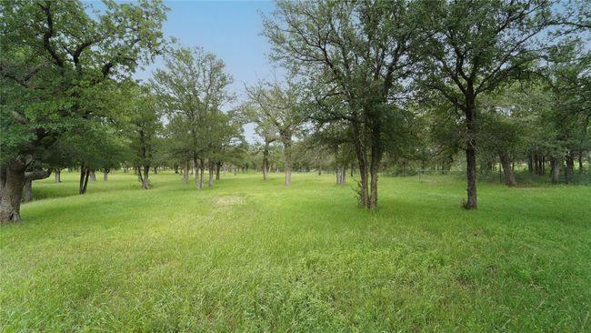 Area Behind Shop | Image 31