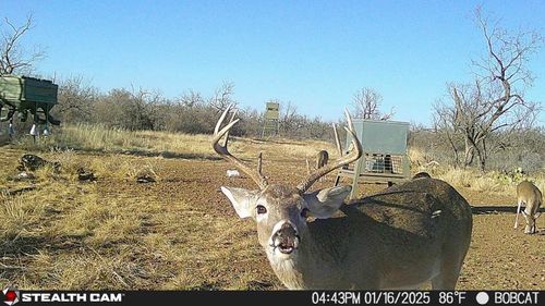 1434 County Road 313, Gouldbusk, TX, 76845 | Card Image