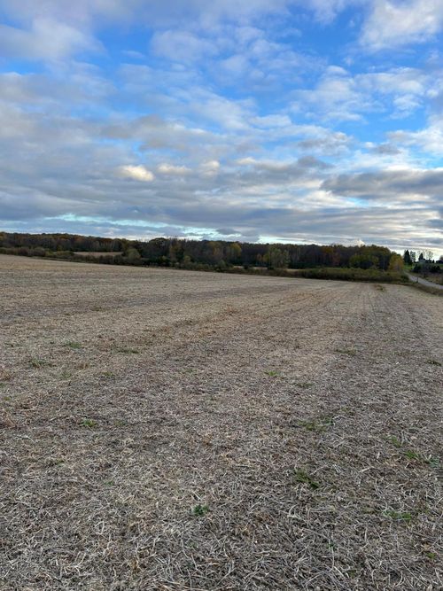 347 250th St, Woodville, WI, 54028 | Card Image