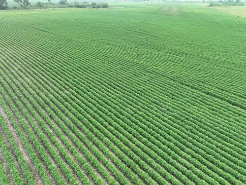 000 45th St Ne, Benson, MN, 56215 | Card Image