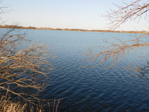 257 Ave Avenue, Wendell, MN, 56590 | Card Image