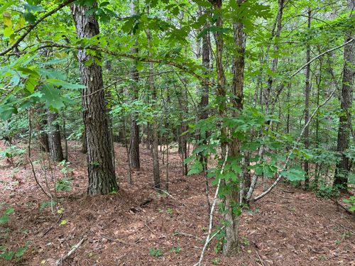 0 Albert Owens Rd, Bethel Springs, TN, 38315 | Card Image