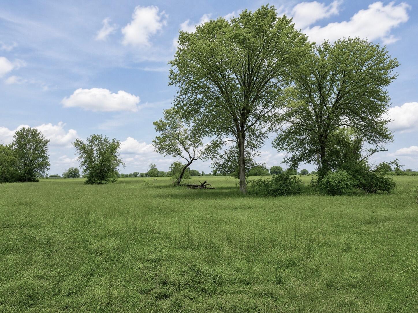 Land in Afton 5