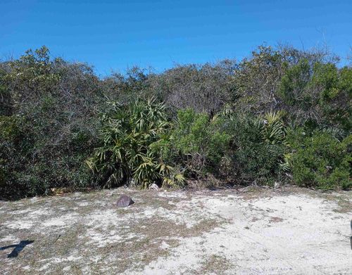 217 Hidden Dune Ct, Ponte Vedra Beach, FL, 32082-4545 | Card Image