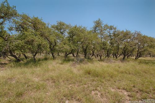 379 Bent Tree Ln, Harper, TX, 78631-2081 | Card Image