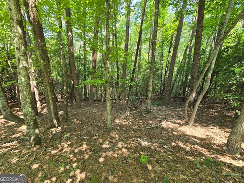 C2 Quail Run, Sautee Nacoochee, GA, 30571 | Card Image