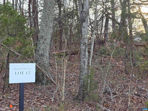lot 17 Pea Ridge Rd, STANARDSVILLE, VA, 22973-3151 | Card Image