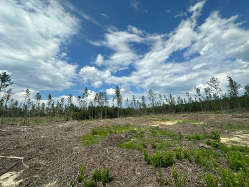 Parcel B Yellow River Baptist Church Rd, Baker, FL, 32531 | Card Image