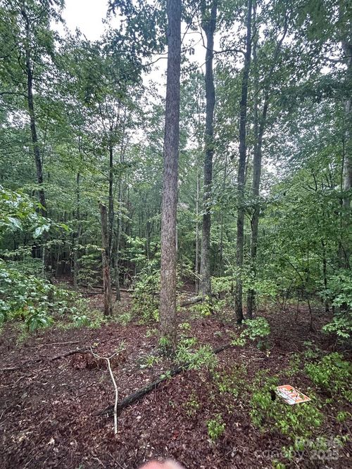 88-90 Adirondack Trl, Nebo, NC, 28761 | Card Image