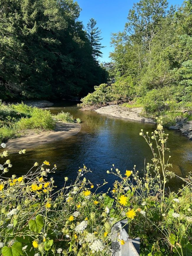 Great for fishing and swimming! | Image 20