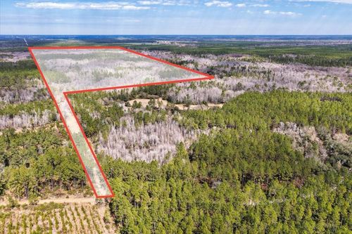 60 Acres Nw Clyatt Road, Chiefland, FL, 32626 | Card Image