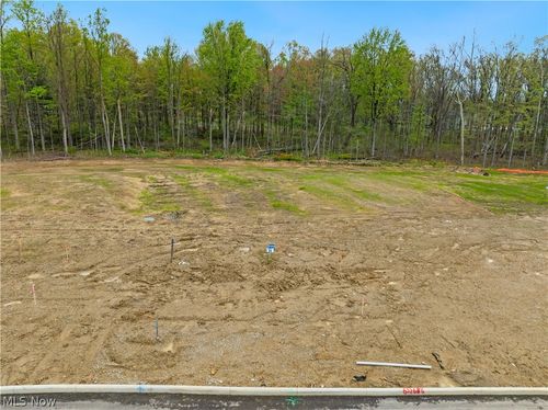 9531 River Birch Run, Brecksville, OH, 44141 | Card Image