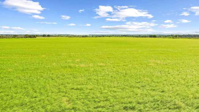 119 - TBD Fm 2689, Home with 0 bedrooms, 0 bathrooms and null parking in Gorman TX | Image 14