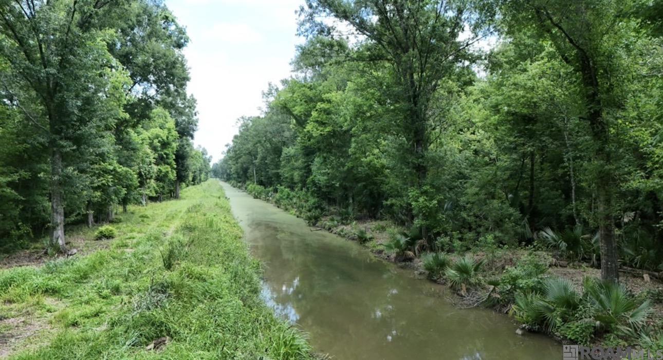 Land in Thibodaux 5