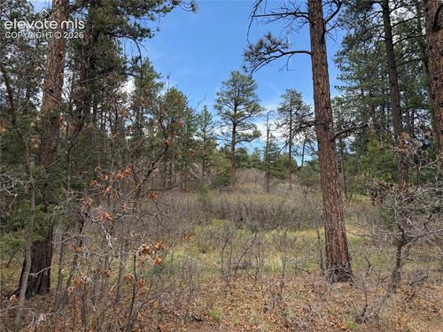 4885 Red Rock Dr, Larkspur, CO, 80118 | Card Image