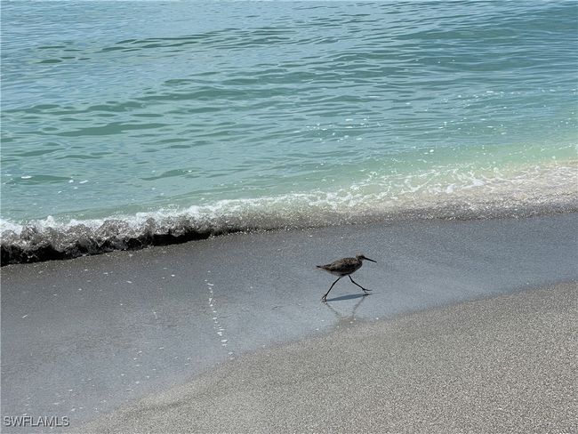 5120 Bayside Villas, Condo with 1 bedrooms, 2 bathrooms and null parking in CAPTIVA FL | Image 41