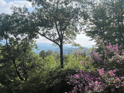 576 Apache Trl, Chatsworth, GA, 30705-6638 | Card Image