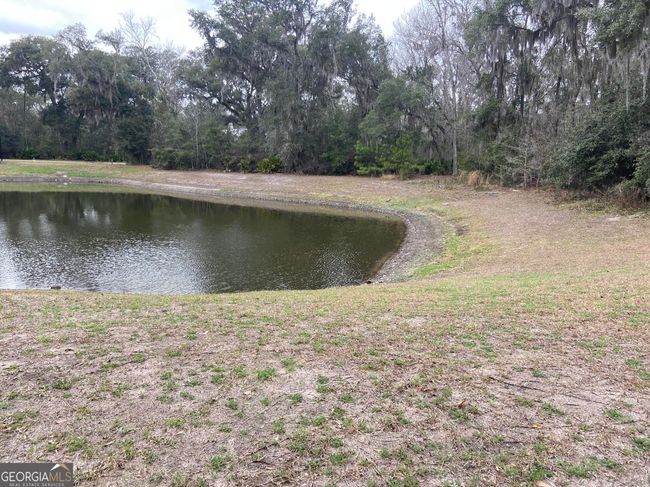 0 Cobia Ln, Home with 0 bedrooms, 0 bathrooms and null parking in Saint Mary's GA | Image 5