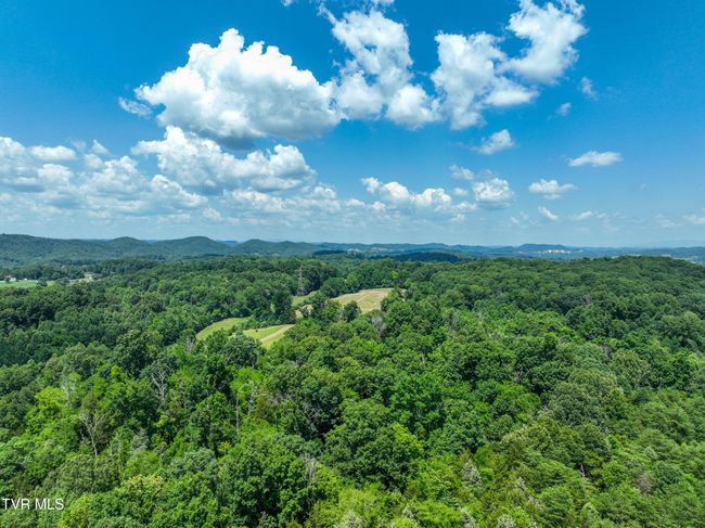 133 Devault Bridge Rd, Home with 0 bedrooms, 0 bathrooms and null parking in Piney Flats TN | Image 25