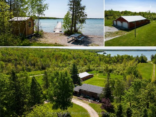 {{alt}} | Card Image