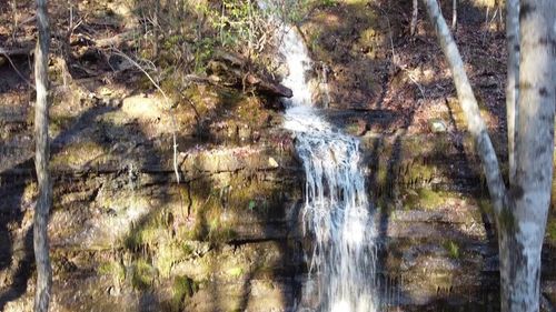 202122 Camp Creek Rd, Spencer, TN, 38585 | Card Image