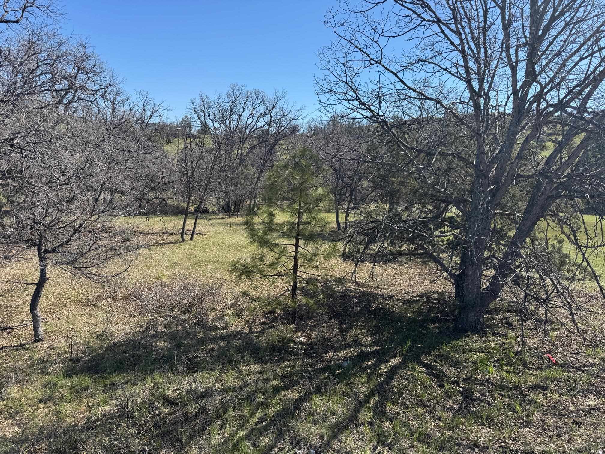 Land in Hornbrook 3