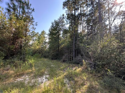 B & C New Ebenezer Rd, Laurel Hill, FL, 32567 | Card Image