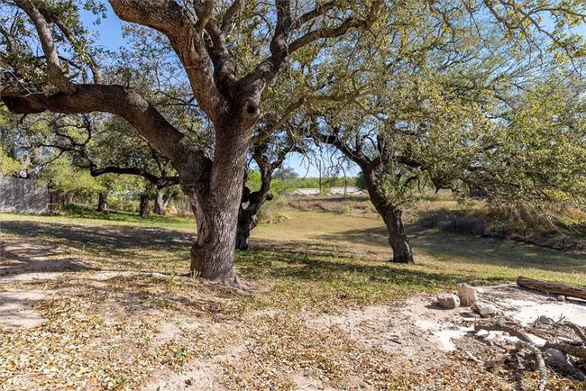 1200 Highway 59, Home with 0 bedrooms, 0 bathrooms and null parking in George West TX | Image 31