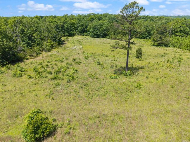 699 Almond Rd, House other with 3 bedrooms, 1 bathrooms and null parking in Jerusalem AR | Image 25