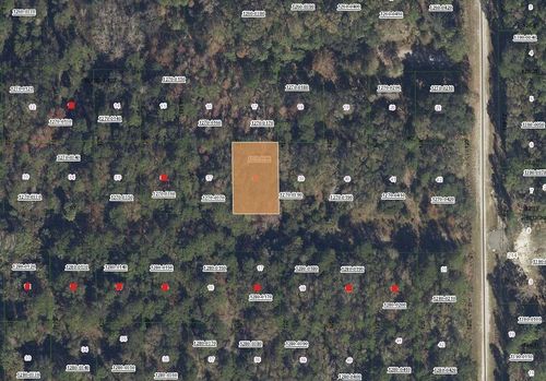 332 Laisy Dr, Georgetown, FL, 32139 | Card Image