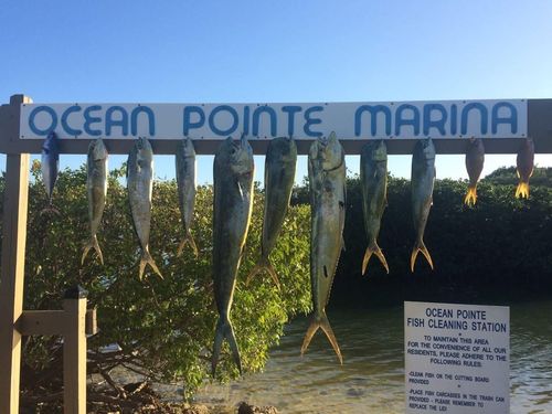 5212-500 Burton Dr, Tavernier, FL, 33070-3100 | Card Image