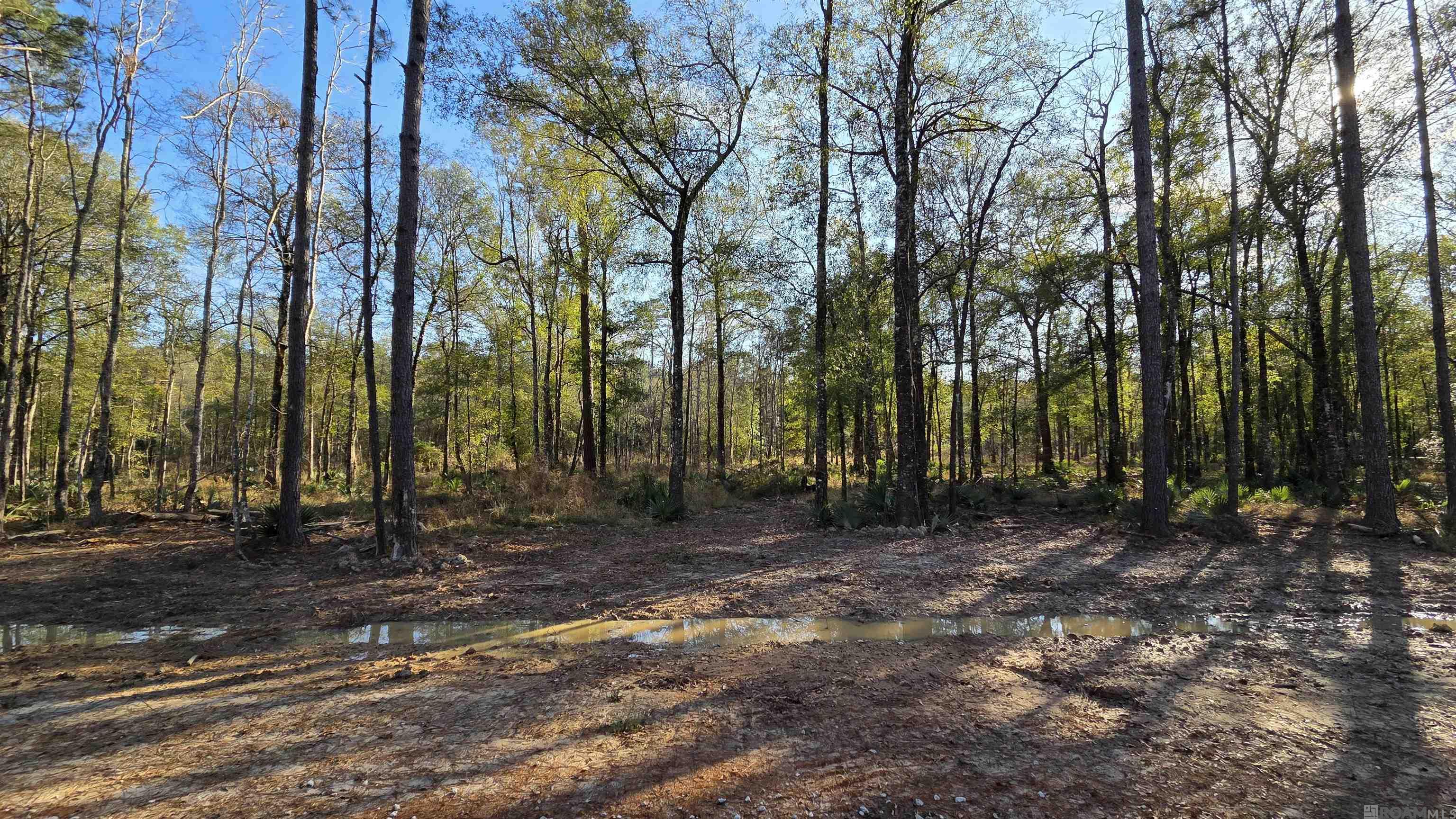 Land in Livingston 2