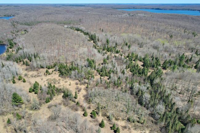 2994 Kentuck Lake Rd, Home with 2 bedrooms, 1 bathrooms and null parking in Phelps WI | Image 12