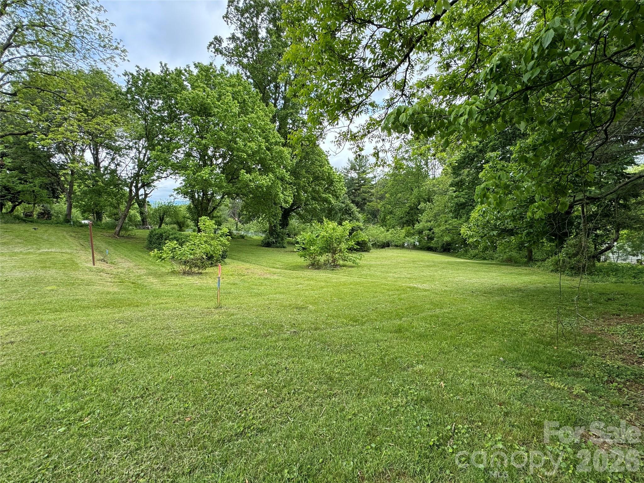 Land in Asheville 3