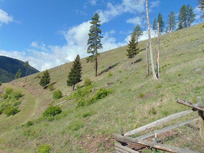 27235 Lazy Springs Rd, Home with 0 bedrooms, 0 bathrooms and null parking in Clinton MT | Image 73