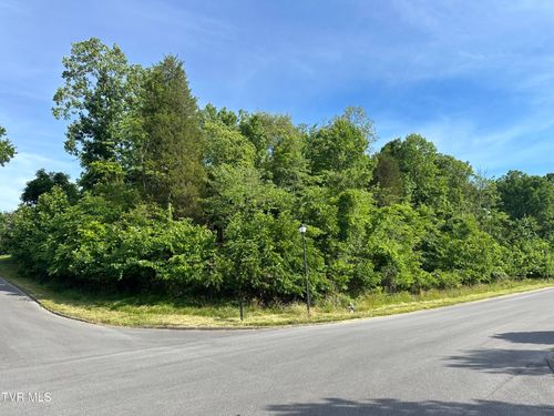 Lots 9 &10 White St, Kingsport, TN, 37664 | Card Image