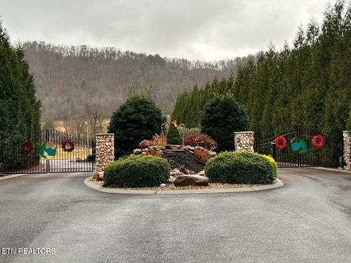 Lot 133 River Rapids Way, Del Rio, TN, 37727 | Card Image